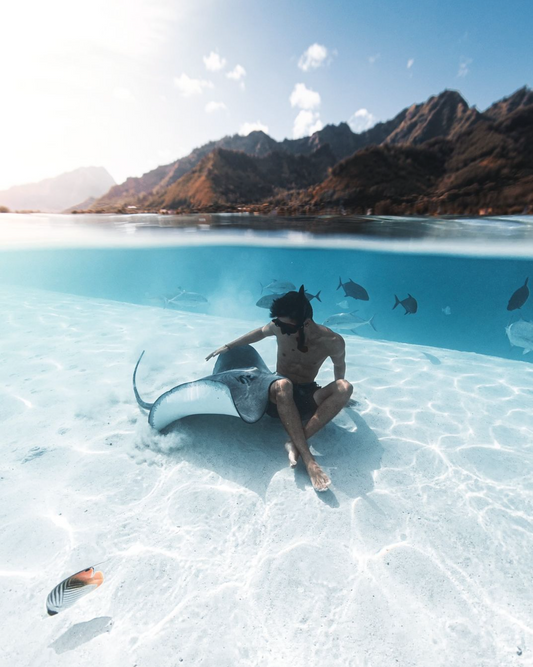 Nolan Omura: The Ocean's Storyteller Through the Lens