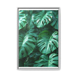 Floating Monstera Delight - Ethereal Botanical Fine Art Print