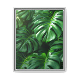 Monstera Elegance: Floating Leaves Fine Art Print