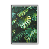 Ethereal Monstera Delicacy - Fine Art Print on Museum Grade Paper