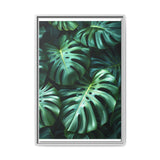 Monstera Elegance: Serene Floating Leaves Art Print