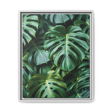 Floating Monstera Delicacy - Overhead Elegance on Museum Paper