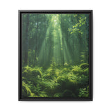 Ancient Redwood Majesty: Sunlit Forest Art Print