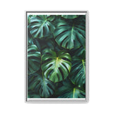 Floating Monstera Dreams - Serene Aerial Leaf Art Print