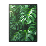 Monstera Elegance: Floating Leaves Fine Art Print
