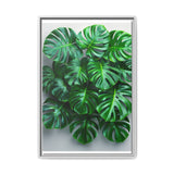 Floating Monstera Delicacy - Serene Nature Art Print