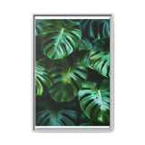 Floating Monstera Leaves Art Print - Minimalist Nature Illustration