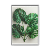 Serene Monstera Elegance - Overhead Leaf Art Print