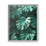 Serene Monstera Delicacy - Overhead Leaves Art Print