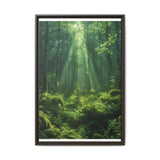 Ancient Redwood Majesty: Sunlit Forest Art Print