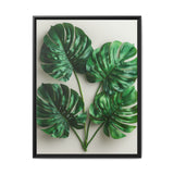 Serene Monstera Elegance - Overhead Leaf Art Print