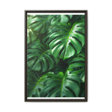Monstera Elegance: Floating Leaves Fine Art Print