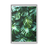 Floating Monstera Delight - Artistic Overhead Leaf Print