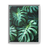 Monstera Elegance: Serene Floating Leaves Art Print