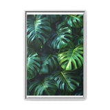 Monstera Delicacy - Aerial Elegance Art Print on Museum Grade Paper