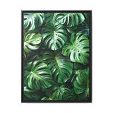 Serene Monstera Delicacy - Overhead Elegance Fine Art Print