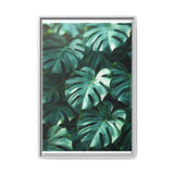 Serene Monstera Delicacy - Overhead Leaves Art Print