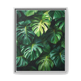 Monstera Dreams - Serene Overhead Leaf Art Print