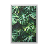 Floating Monstera Dreams - Serene Overhead Leaf Art Print