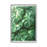 Serene Monstera Dreams - Overhead Leaves Art Print