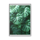 Ethereal Monstera Leaves Art Print - Floating Serenity