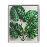Serene Monstera Elegance - Overhead Leaf Art Print