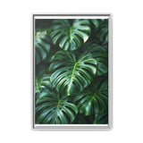 Floating Monstera Leaves Art Print - Serene Nature Elegance