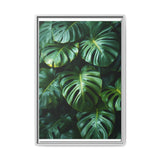 Floating Monstera Delicacy - Fine Art Print on Museum Grade Paper