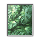 Serene Monstera Dreams - Overhead Leaves Art Print
