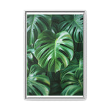 Serene Monstera Leaves Art Print - Overhead Elegance