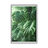 Floating Monstera Delicacy - Overhead Elegance Print on Museum Paper