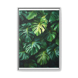Monstera Dreams - Serene Overhead Leaf Art Print