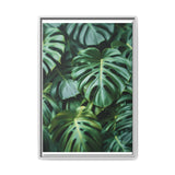 Floating Monstera Delicacy - Overhead Elegance on Museum Paper