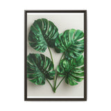 Serene Monstera Elegance - Overhead Leaf Art Print