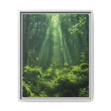 Ancient Redwood Majesty: Sunlit Forest Art Print