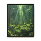 Ancient Redwood Majesty: Sunlit Forest Art Print
