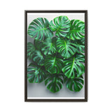Floating Monstera Delicacy - Serene Nature Art Print