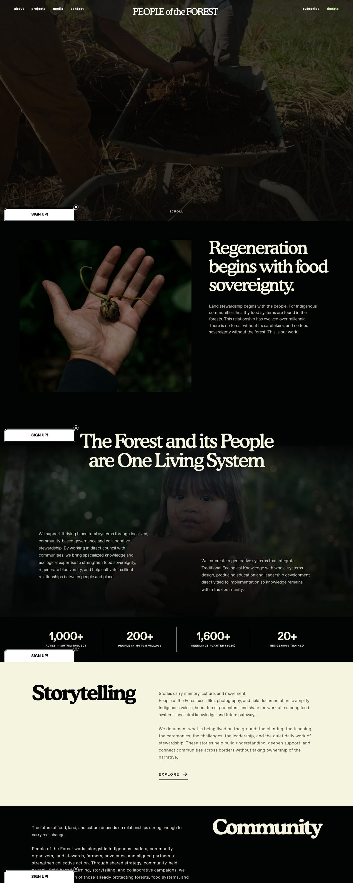 People of the Forest website homepage