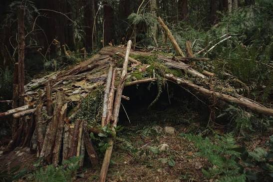 The Wild Land Experience